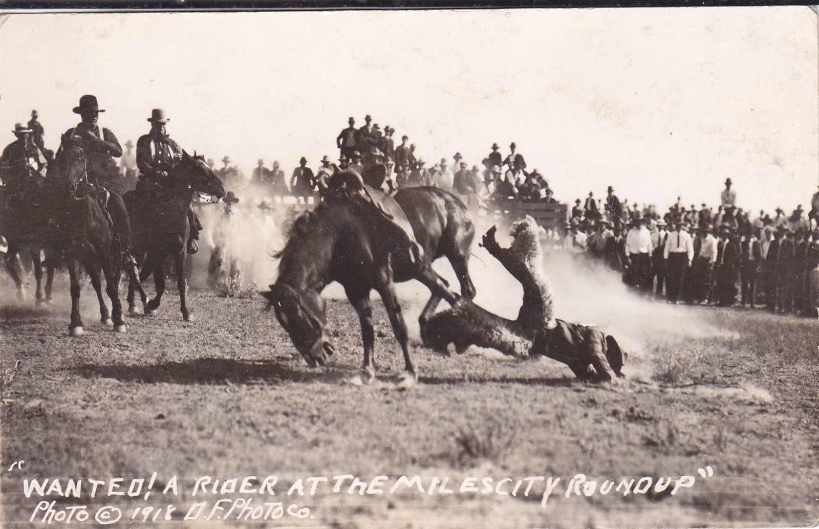 2-1918 RPPC Miles City roundup Wanted a Rider, Owen Crosby Celebrating the 4th
