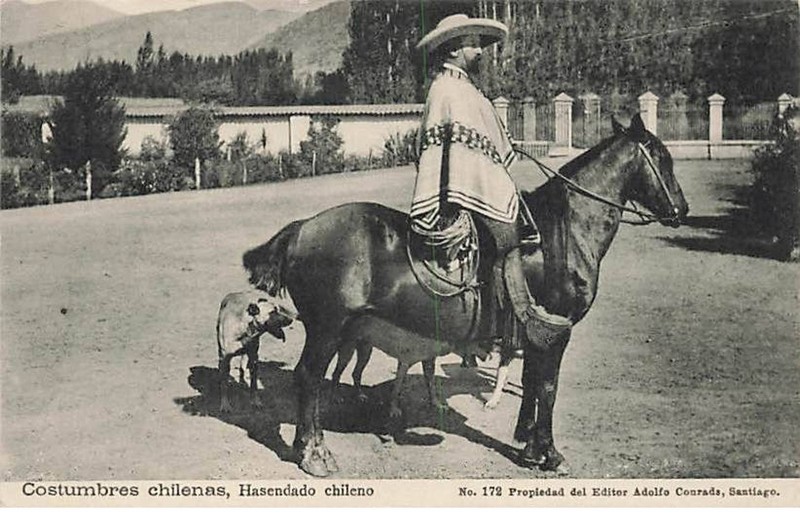 Chili - Costumbres Chilenas - Hasendado Chileno