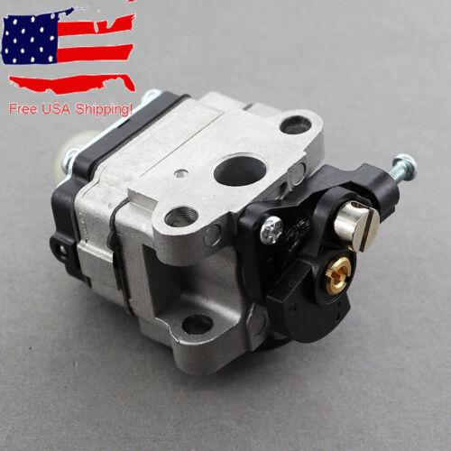 Carburetor Carb Kit Ryobi 4 Cycle S430 WeedEater with Fuel Line