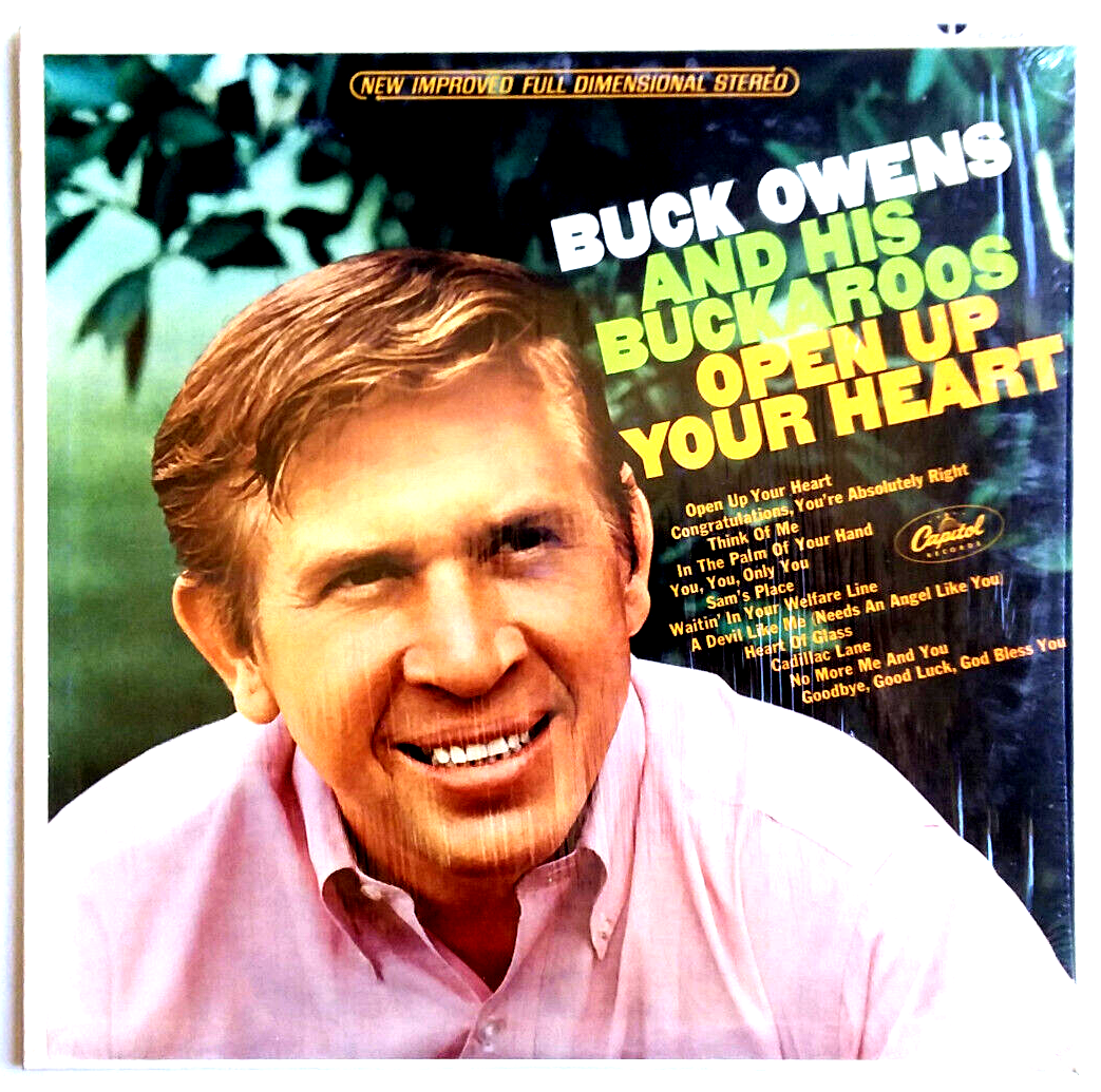 MUCH TOO ROMANTIC!～The Collectors 30th … THE COLLECTORS - MUCH TOO ROMANTIC! The Collectors 30th