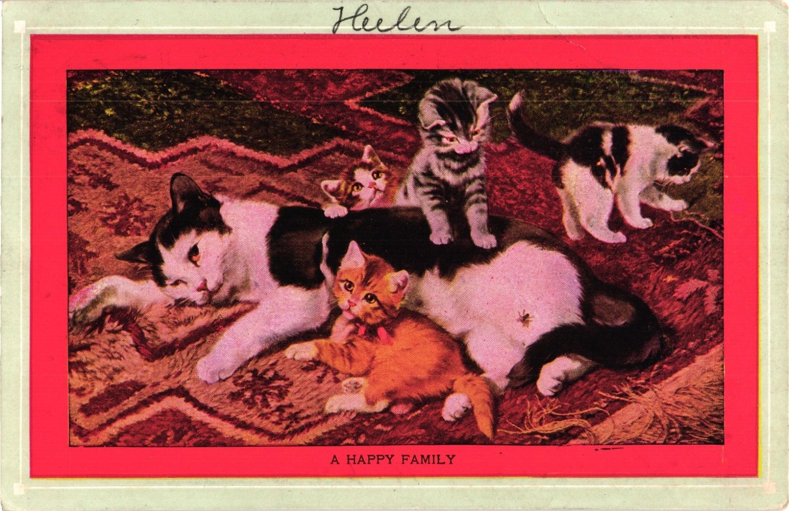 Cat Family A HAPPY FAMILY Momma Cat Playful Kittens c1910