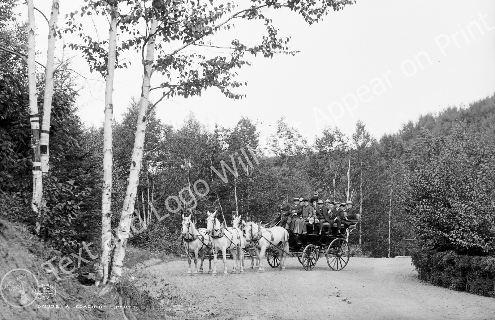 1906 Coaching Party on Boulevard Drive, Duluth, MN Old Photo 11