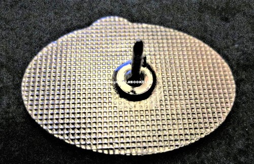 SKI SUN PEAKS PIN ( WAS TOD MOUNTAIN) SKIING B.C. INTERIOR Pin