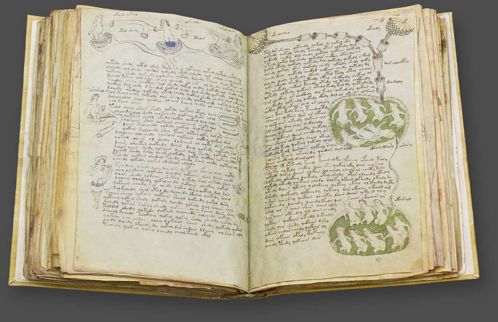 Voynich Manuscript Facsimile Faithful Leatherbound Reproduction