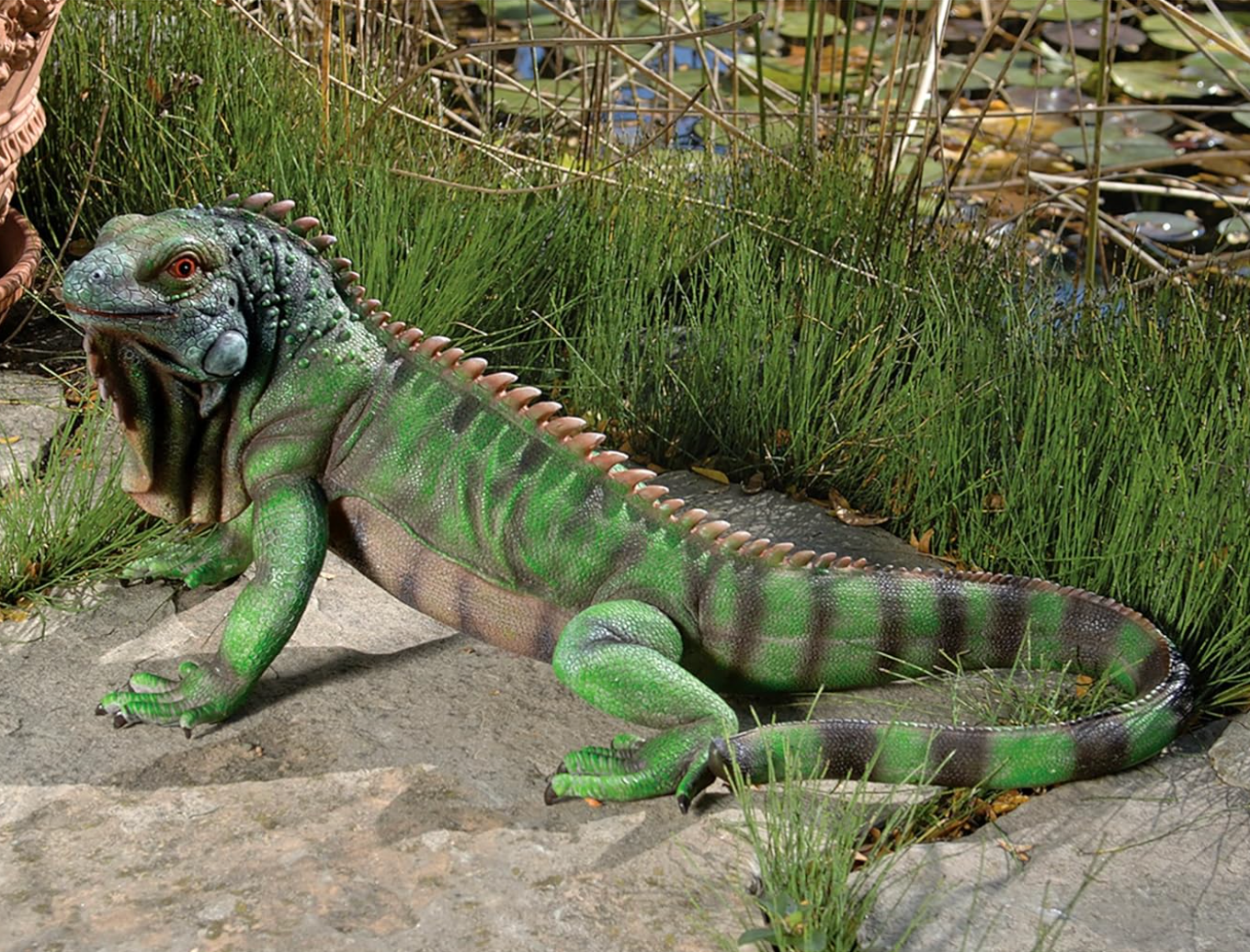 洋書　グリーンイグアナ　IGUANAS QUARTERY Green Iguana: The Ultimate Owner's Manual: Hatfield, James W
