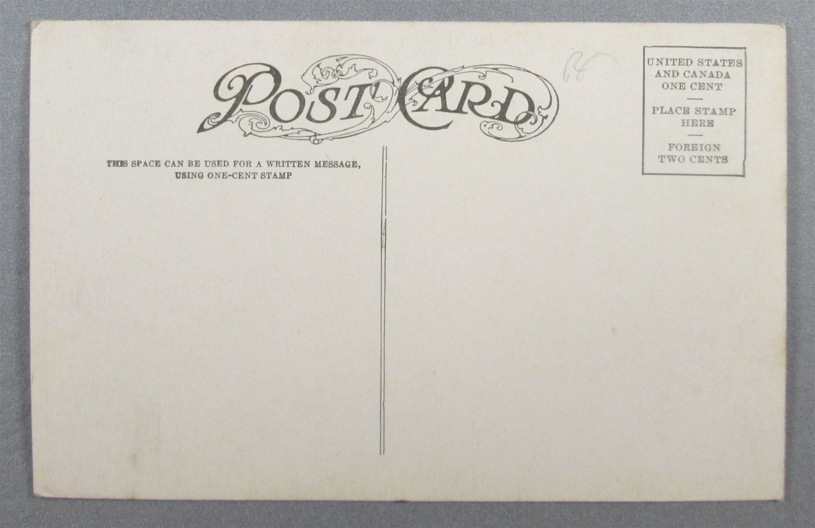 Louisiana State Flower Magnolia, LA, Jackson Square, Postcard (#5548)