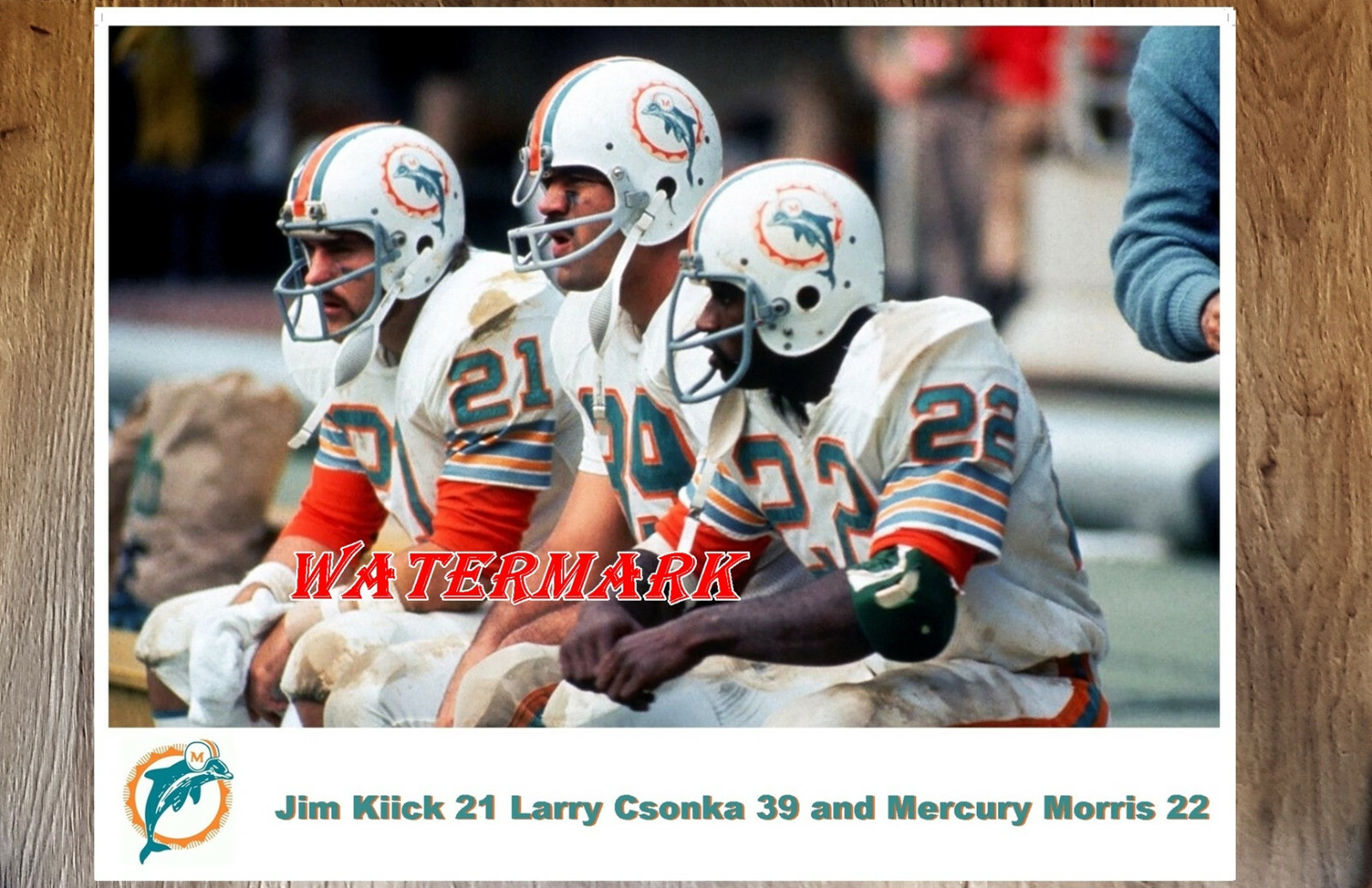 NFL Miami Dolphins Jim Kiick Larry Csonka Mercury Morris