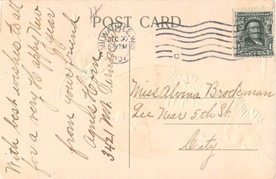 Pretty Birds by Scene of Sheep on Country Road - 1907 New Year Postcard