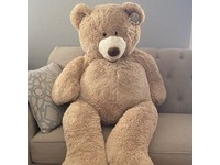 hugfun bear 53