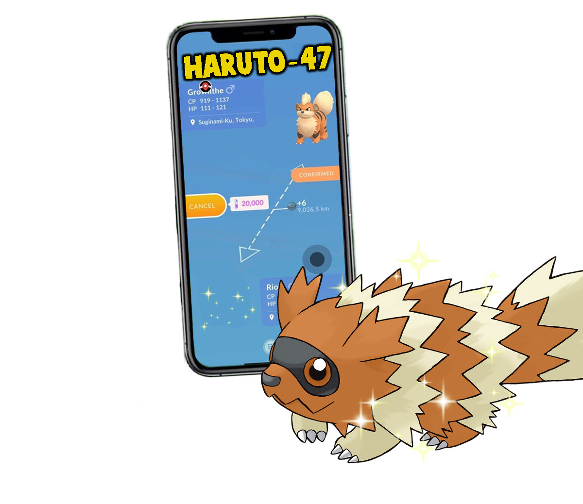 Pokemon Shiny Zigzagoon Trade - Chance of Lucky 1M or Registered