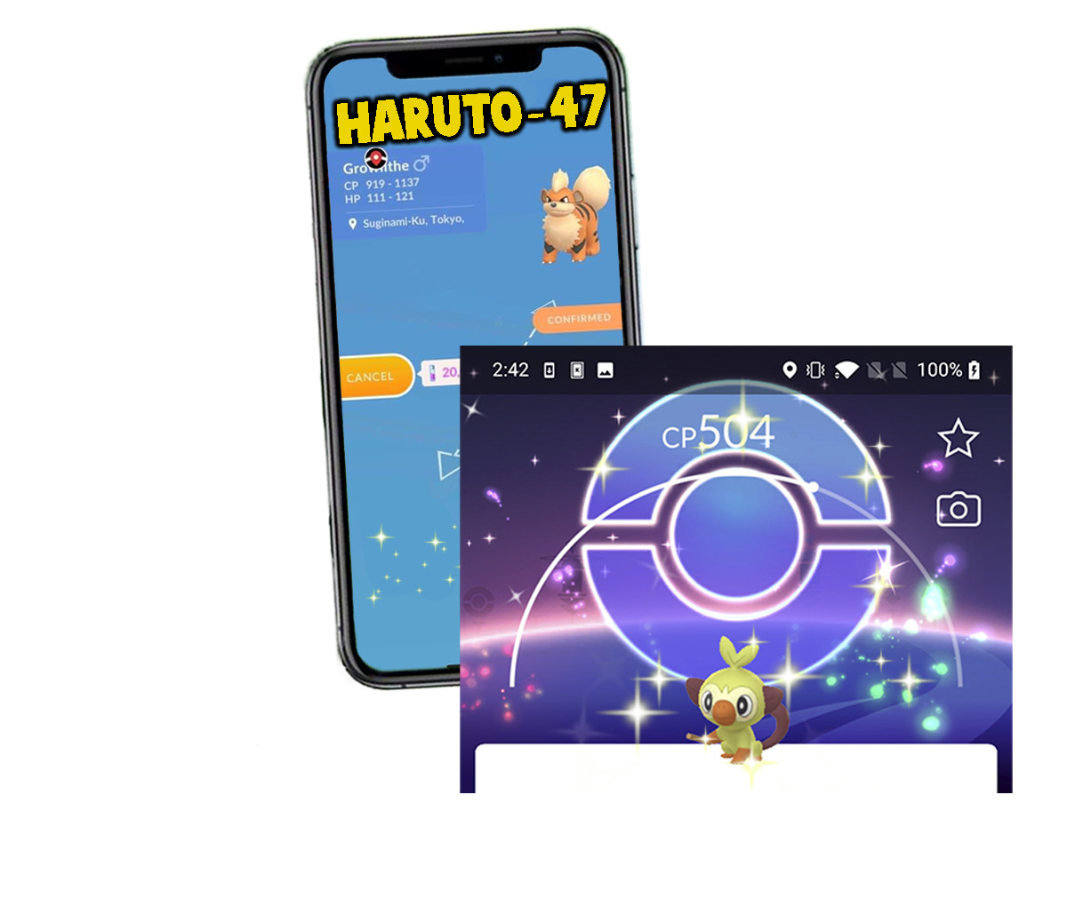 Pokemon Shiny Grookey Community Day Background Trade 1M or Registered