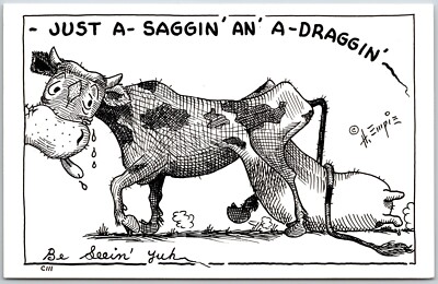 Just A Saggin An A Draggin, Hal Empie Kartoon Kards, Comic - Postcard