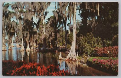 Cypress Trees On Lake Eloise~Gardens~Brilliant Flowers~Florida~Koppel~PM 1967 PC