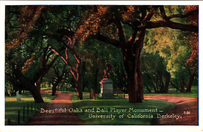 Postcard CA  Beautiful Oaks Ball Player Monument University Cal Berkeley