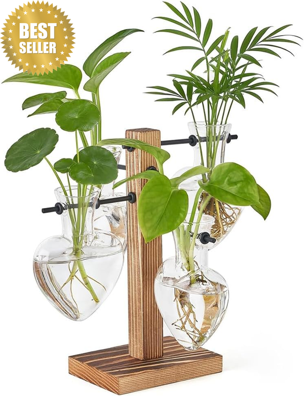 Heart Shaped Propagation Station, Glass Hydroponic Planter with Wood Stand, Uniq