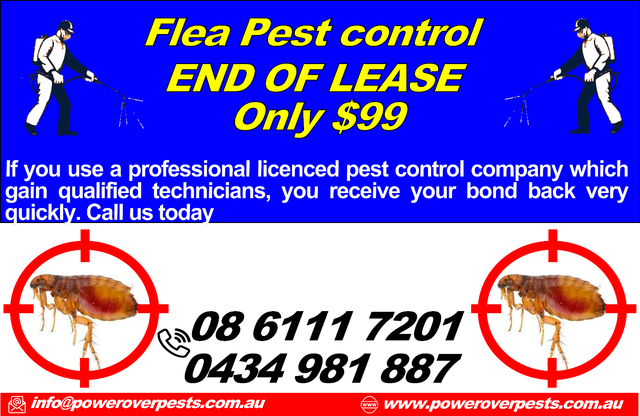 Flea Pest control $99 | Other Business Services | Gumtree ...