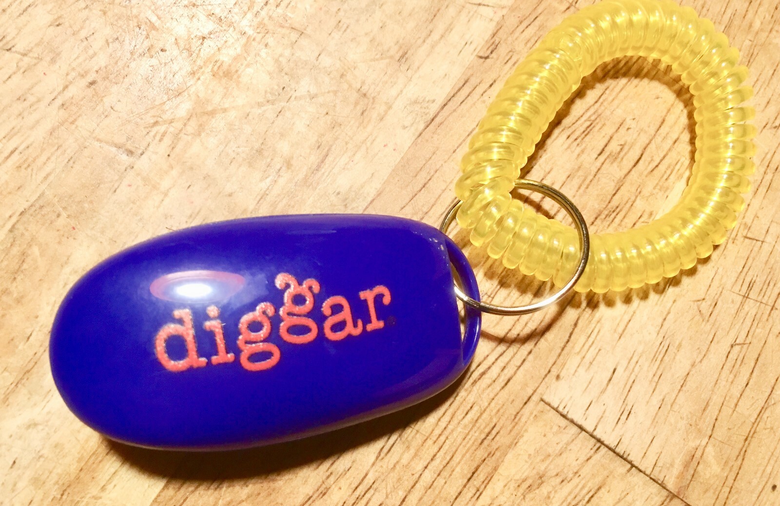 DIGGAR®  Klicker Clickertraining Armband Hundeerziehung Hundetraining, NEU