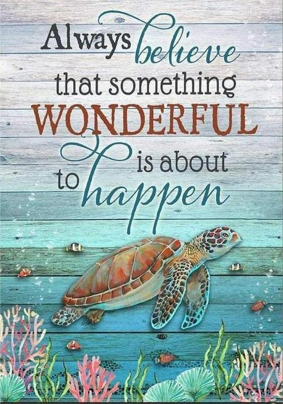 Sea Turtle Diamond Painting Kits for Adults Beginners - Insp