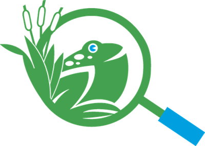 ODC Network