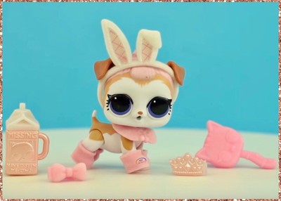 lol snow bunny family