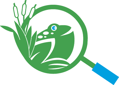 ODC Network