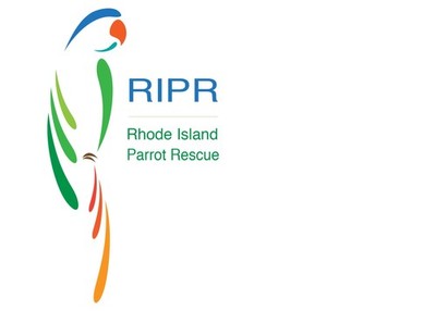 Rhode Island Parrot Rescue