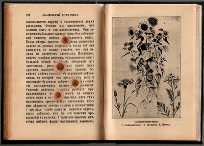 RARE! Old Russian Book Little Botanist 1913 Pre-Revolutionary Imperial Russia