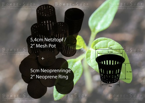 60x Neoprenring & 60x Netztopf/Mesh Pot ø5cm Grow System Hydroponik Aeroponik