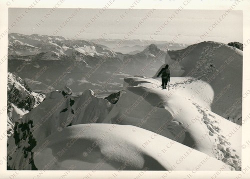 1955c COLLINA FORNI AVOLTRI Vetta Monte Coglians Udine Foto Gino Del Fabbro - Picture 1 of 2