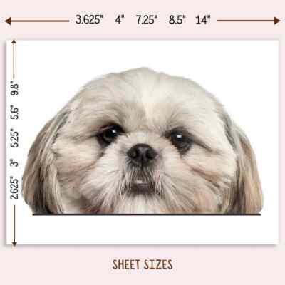 Silver&White Shih Tzu Car Sticker / Peeking Dog Head Vinyl Decal bumper Window