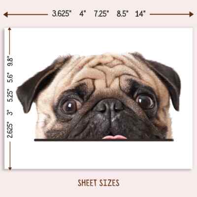Peeking Fawn Pug Car Sticker / Vinyl Waterproof Pug Head Face Decal