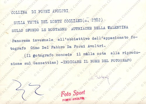 1955c COLLINA FORNI AVOLTRI Vetta Monte Coglians Udine Foto Gino Del Fabbro - Picture 2 of 2