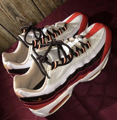 RARE NIKE AIR MAX 95 EVOLUTION PACK SZ 9 5 2006 RELEASE RARE NIKE AIR MAX 95 EVOLUTION PACK SZ 9 5 2006 RELEASE