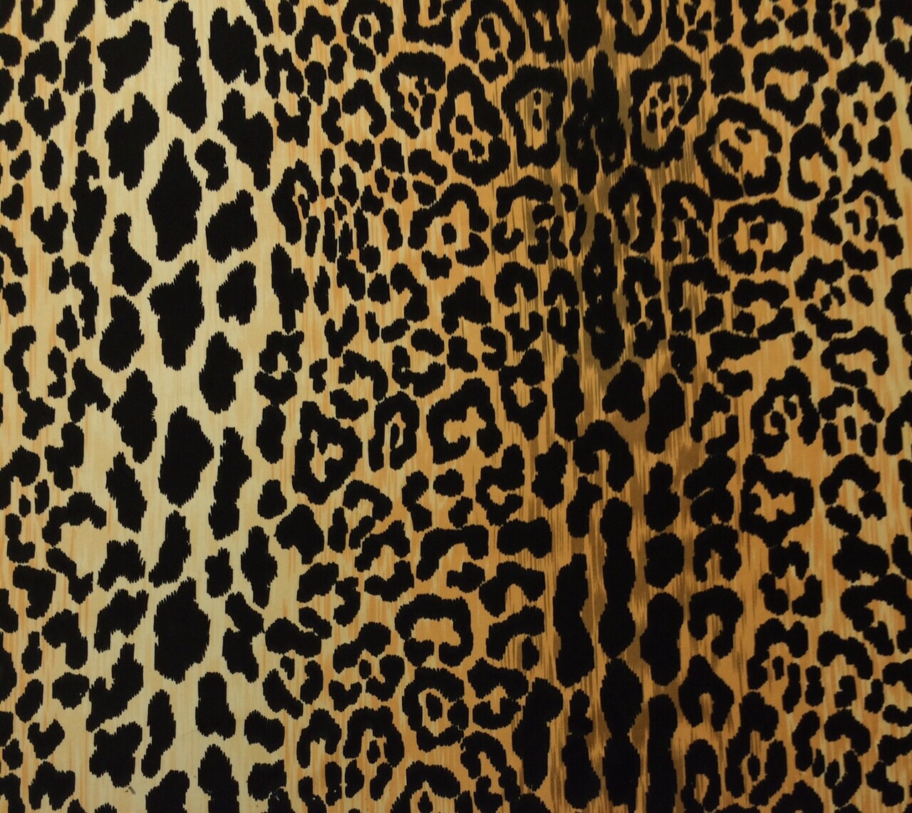 『 Yellow Leopard fam 』by Zuberi 60*60cm Safari Ltd. Wildlife - Leopard Cub by Safari Ltd. 271629