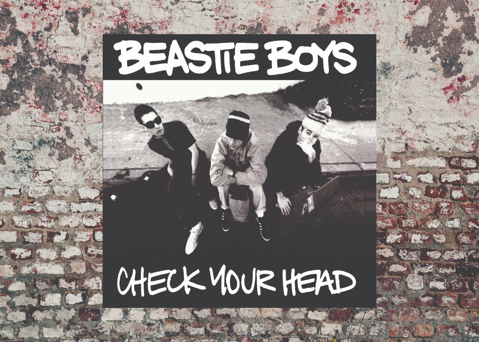 レコード　Check your head BEASTIE BOYS Beastie Boys - Check Your Head (Deluxe Edition/Remastered