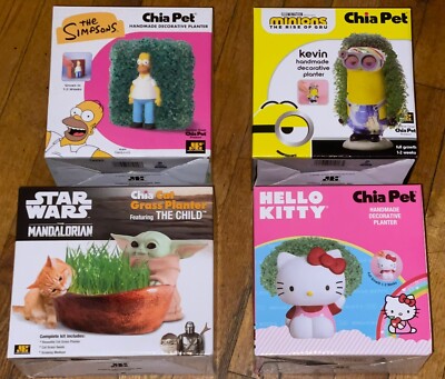 ebay Product