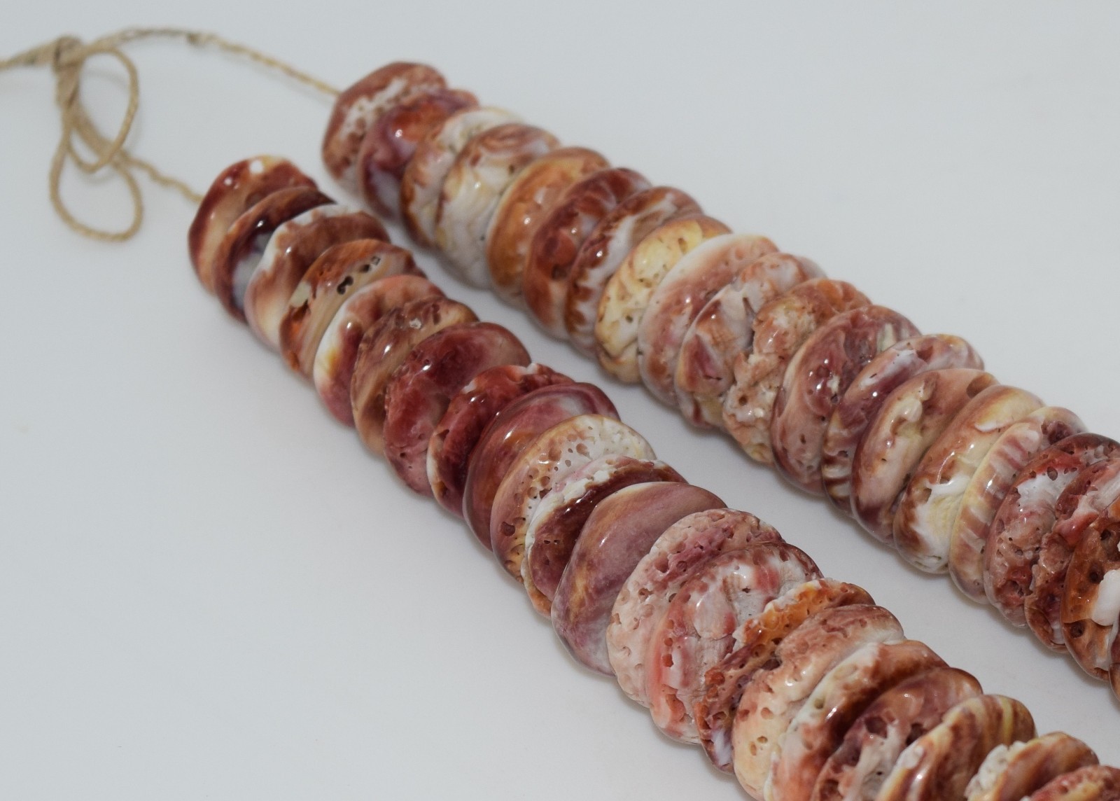 SUPERB LARGE OLDER PURPLE SPINEY OYSTER STRAND 24