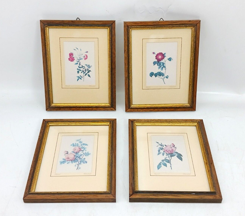  Seidendruck Botanik 4x Gerahmt Holzrahmen Hinter Glas Ca. 16 Cm X Ca. 13,5 Cm