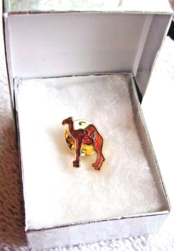 Alcoholics Anonymous Camel AA Lapel Hat Vest Pin NA 24 hour Sobriety Sober 