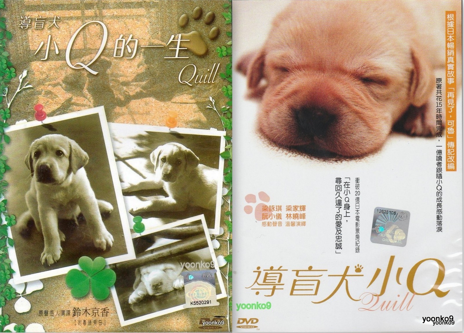 新品 トルコ語 トルコ映画DVD コメディー Sürgün İnek Amazon