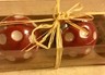 Red Lady Bug Salt & Pepper Shakers