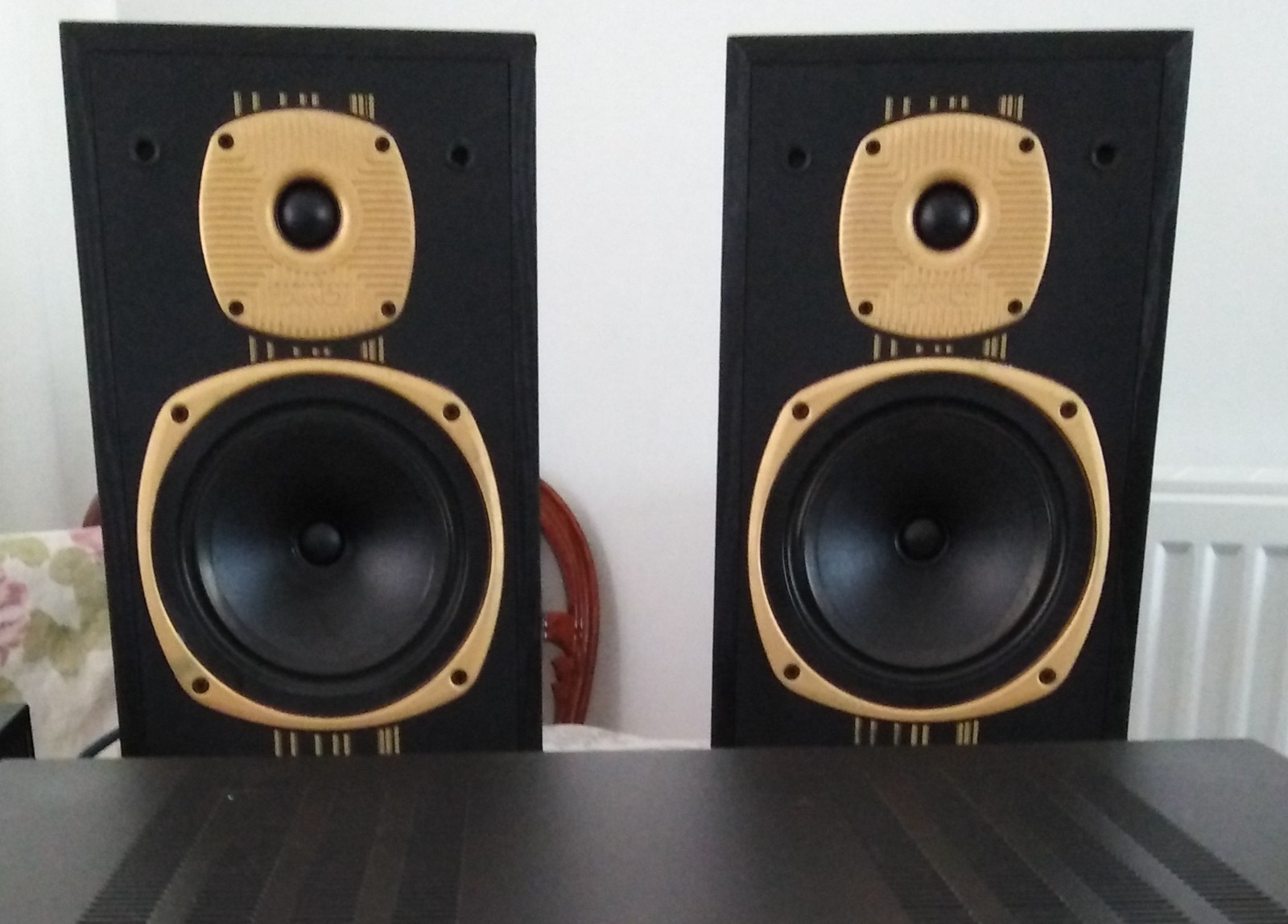 TANNOY スピーカー　ECLIPSE　GOLD TANNOY スピーカー ECLIPSE E-10 | 広島のオーディオ