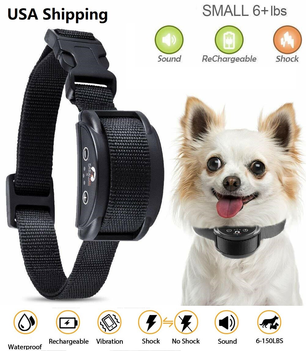 электронные ошейники dobe600т. Petsafe антилай. антилай для собак отзывы кинологов. намордник антилай для собак крупных пород. антилай dogtrace.