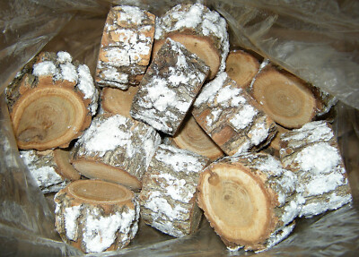LOT OF 16 NATURAL 1'' x 2'' BLACK WALNUT ROUNDS SLICES WITH FROSTED BARK CRAFTS