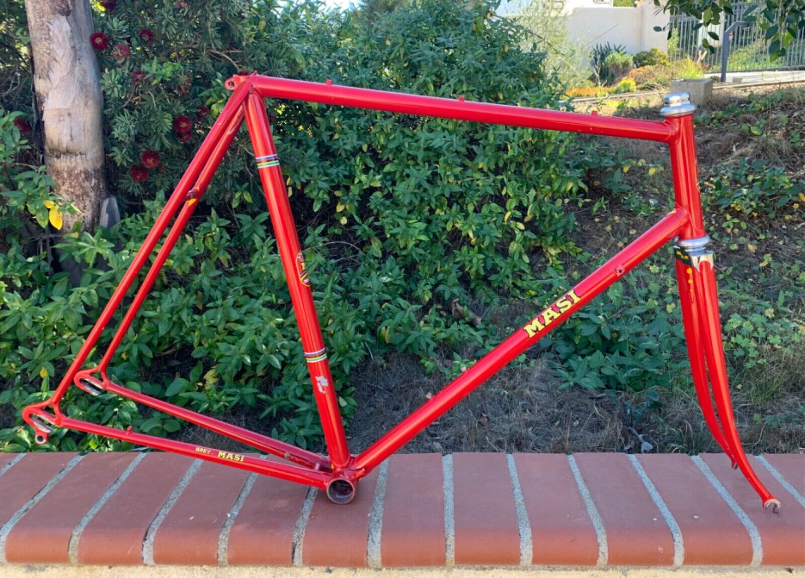 Masi Bicycle | Bicycle