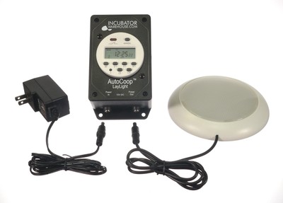 Meet The Flockers Lompocs Dare 2 Dream Farm Delivers Eggs