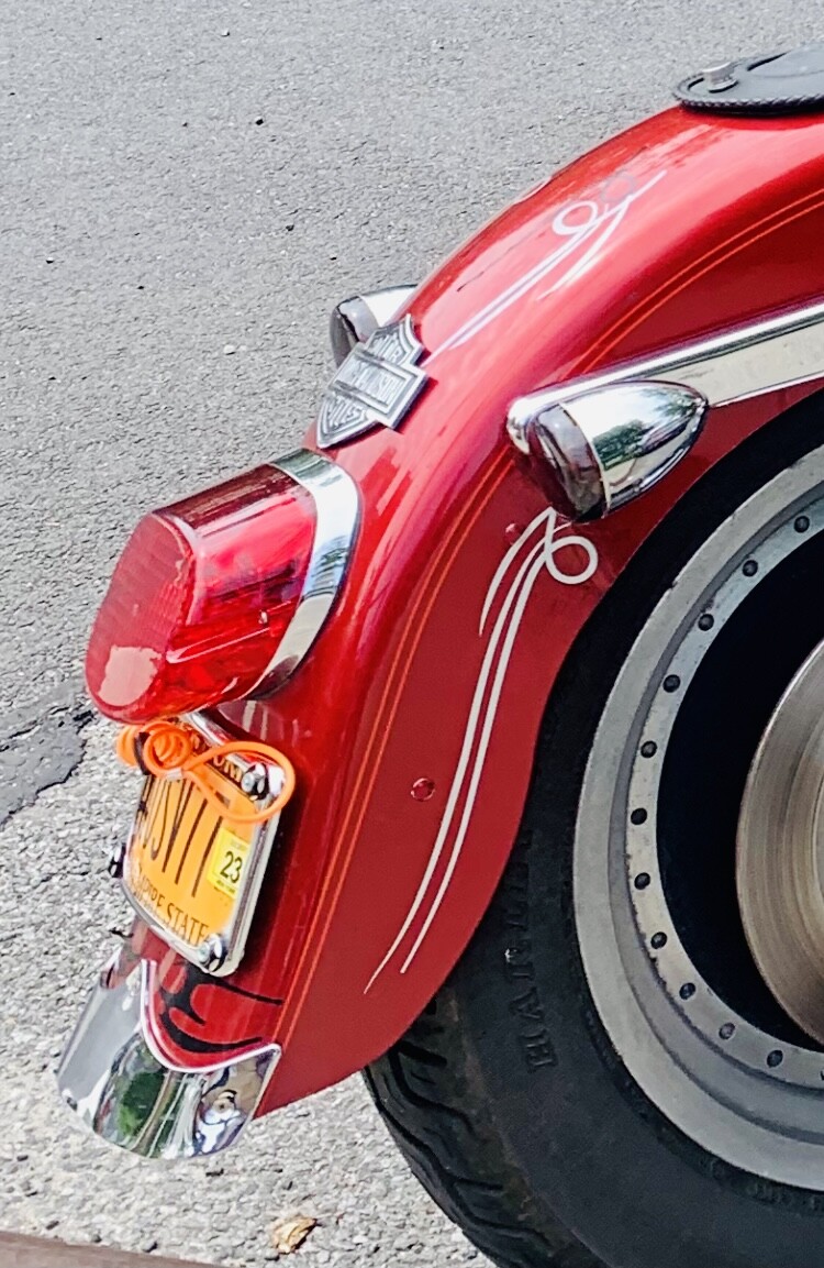 Drag Specialties Laydown Taillight Lens w/ Bottom Window DS