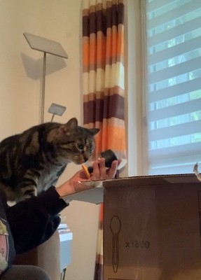 Artikelfoto(s) von einem verifizierten Käufer