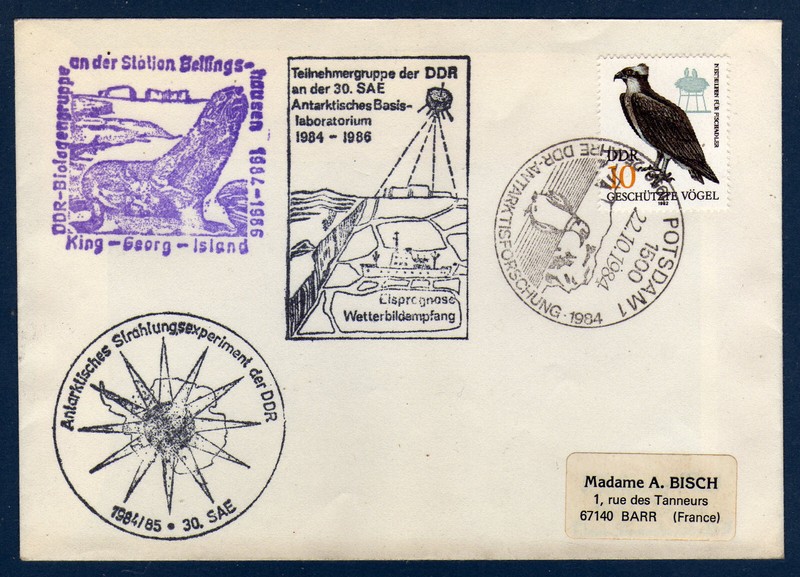 Antarctique Pli Ddr 1984 Tb