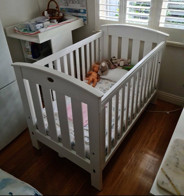 boori classic cot barley